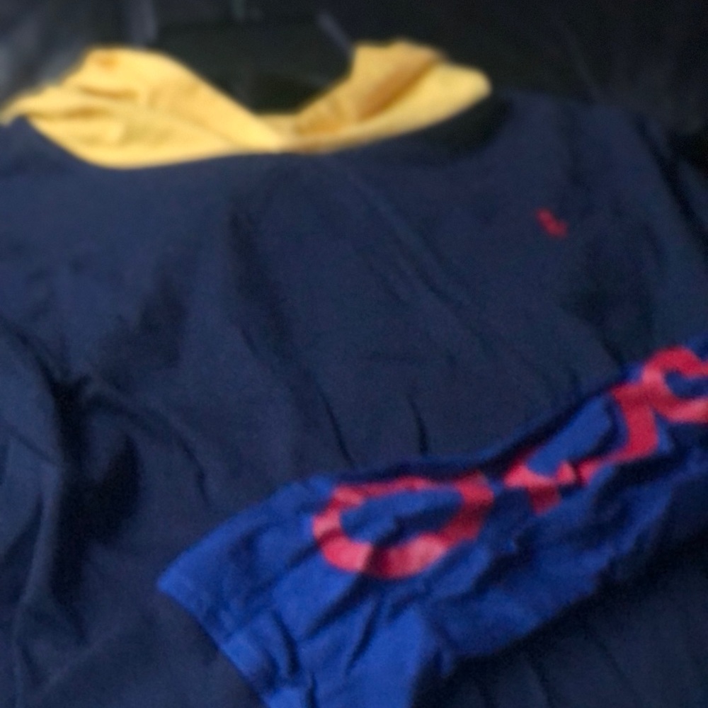 Multi color Ralph Lauren Hoodie